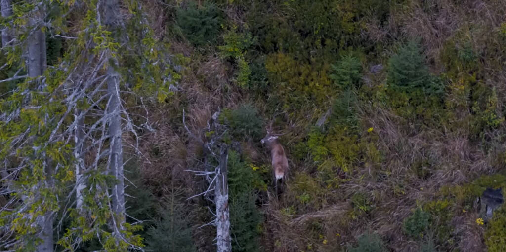 EAttachments9464883c2ccbfea9e04300a8929aa326d435cc9 xl