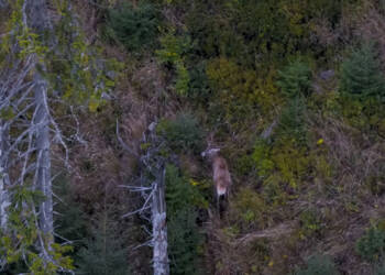 EAttachments9464883c2ccbfea9e04300a8929aa326d435cc9 xl