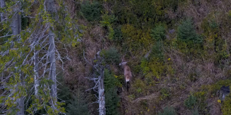 EAttachments9464883c2ccbfea9e04300a8929aa326d435cc9 xl