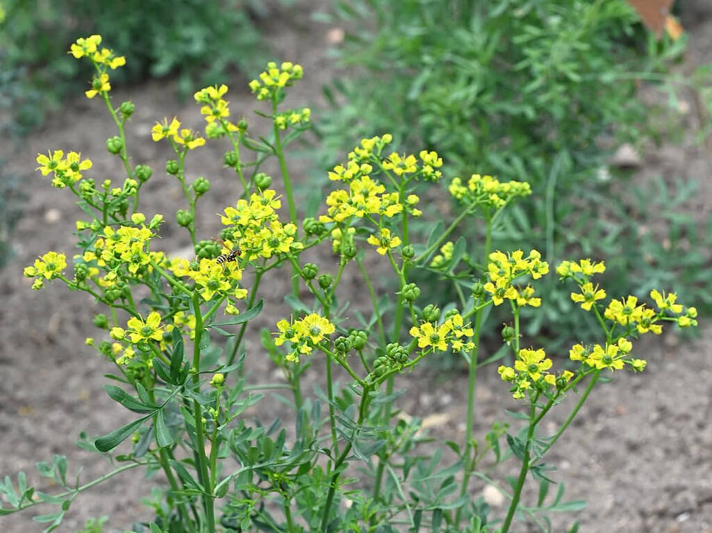 EAttachments946488927f73d2781a3a2c6ede5617c8435ba21 xl