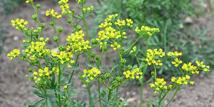 EAttachments946488927f73d2781a3a2c6ede5617c8435ba21 xl