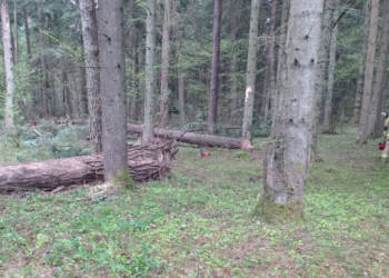 EAttachments946590624fc9a8238243b7f1bc191ca4410528f xl 1024x743 1