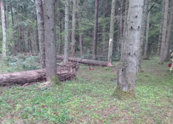 EAttachments946590624fc9a8238243b7f1bc191ca4410528f xl