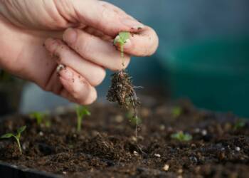 EAttachments9467115429336c96e9bc403b071889390defa42 xl