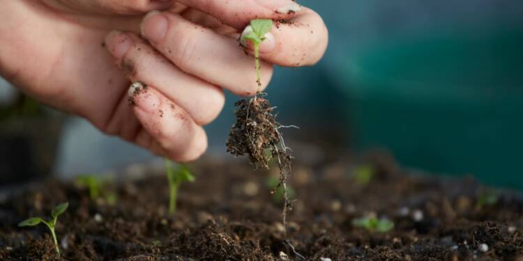 EAttachments9467115429336c96e9bc403b071889390defa42 xl