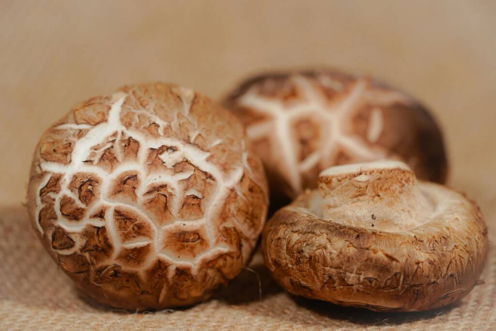 EAttachments9467141020a1f1e8a5bfed15f05f542d677a6da xl