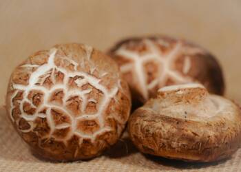 EAttachments9467141020a1f1e8a5bfed15f05f542d677a6da xl