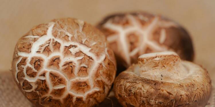 EAttachments9467141020a1f1e8a5bfed15f05f542d677a6da xl