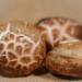 EAttachments9467141020a1f1e8a5bfed15f05f542d677a6da xl