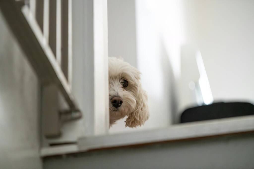 EAttachments9467143f89ec6f4365dcb99c1af2536d5db135a xl