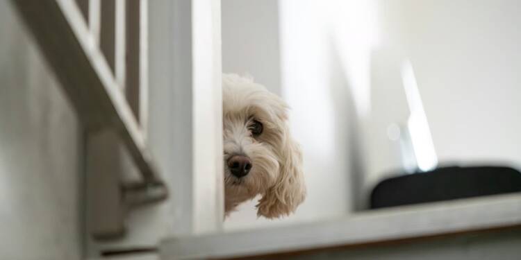 EAttachments9467143f89ec6f4365dcb99c1af2536d5db135a xl