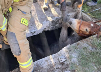 EAttachments9467403a1c2db2e1c91f9e7dc5e034747695be8 xl 1024x906 1