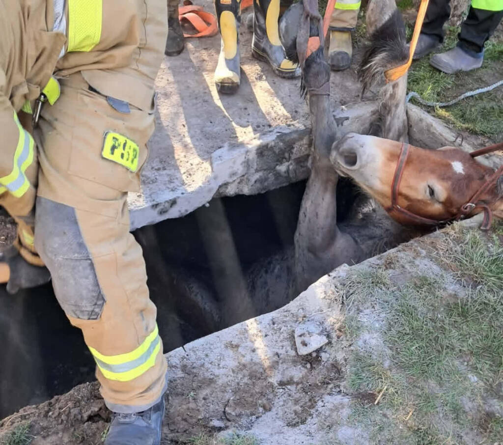 EAttachments9467403a1c2db2e1c91f9e7dc5e034747695be8 xl