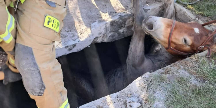 EAttachments9467403a1c2db2e1c91f9e7dc5e034747695be8 xl