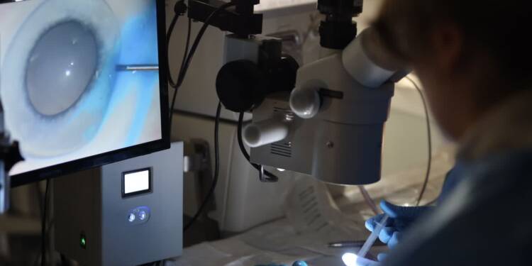 EAttachments946791075fd239f0c14be4d87060bc202cf13df xl