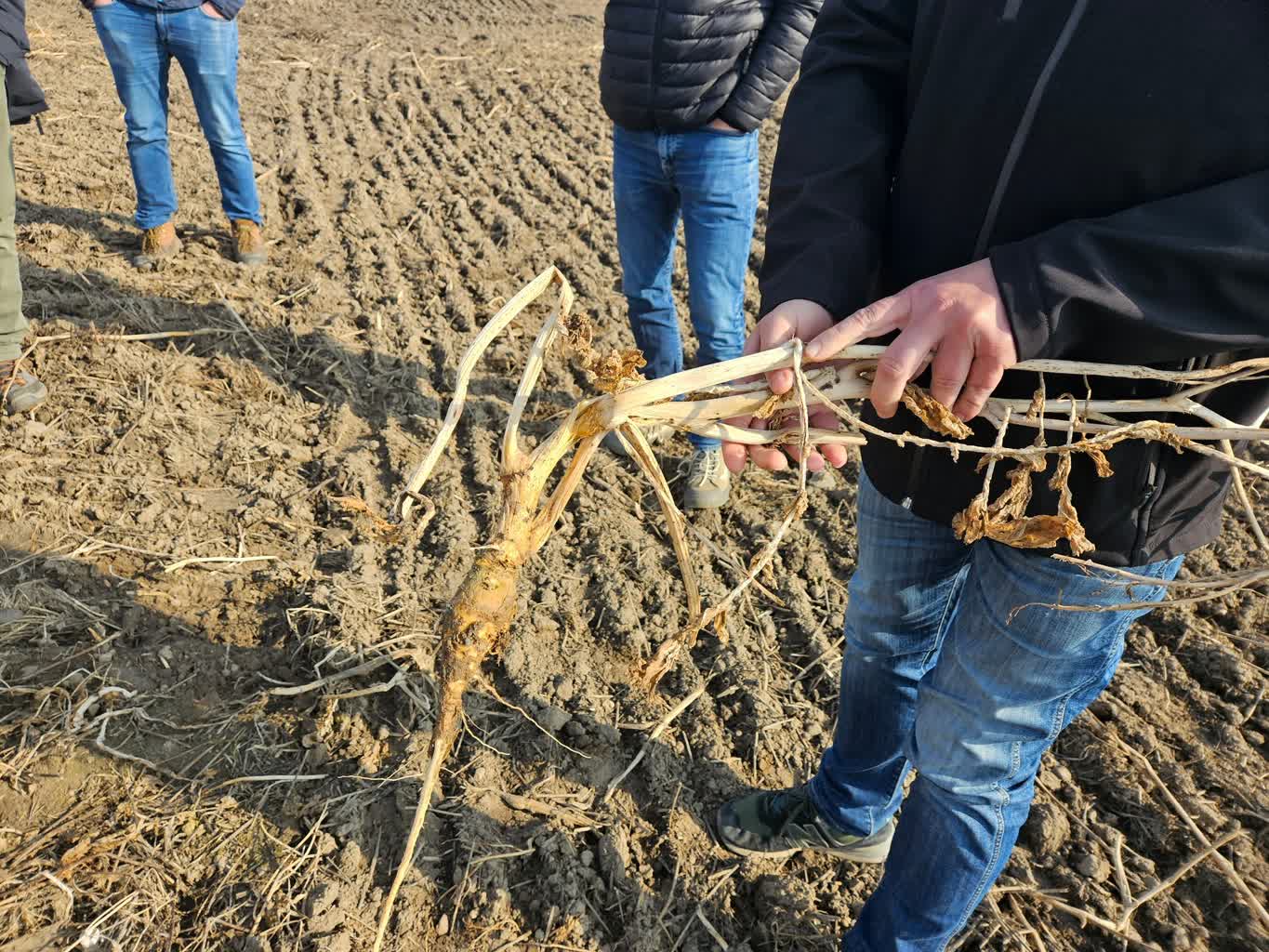 Deficyt wody na polach uprawnych. Naukowcy i rolnicy zaniepokojeni 3 660513212_1558911356238008_8223010812505828649_n.jpg