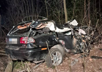 EAttachments94688114dbb77c95977a9dc69ce8f36d6547e45 xl