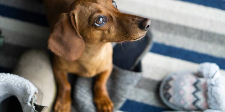 EAttachments94693300ec186360fcdf91e4056ef046fb4703f xl