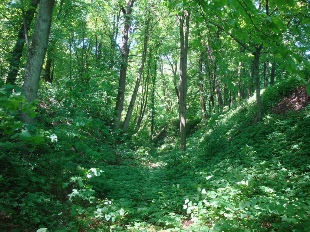 EAttachments94694824ab34c523e2d77d089b6e98b7bba1cbd xl