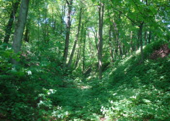 EAttachments94694824ab34c523e2d77d089b6e98b7bba1cbd xl