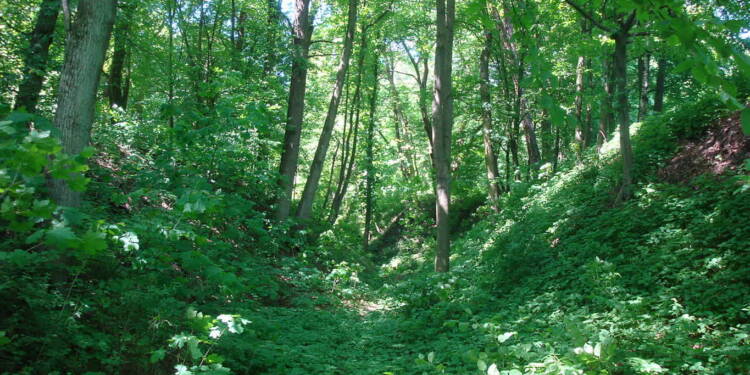 EAttachments94694824ab34c523e2d77d089b6e98b7bba1cbd xl