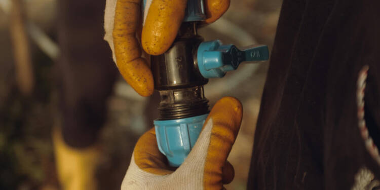 EAttachments947095594f887f7d1b9d92957f688119a3acd29 xl