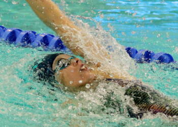 EAttachments9471253e08d21afc32925250a5b8384c31e6328 xl