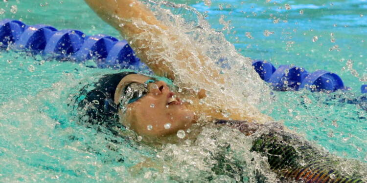 EAttachments9471253e08d21afc32925250a5b8384c31e6328 xl