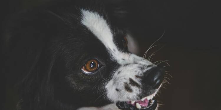 EAttachments9471809288ab72e4e327da1c1d6e32117d76271 xl