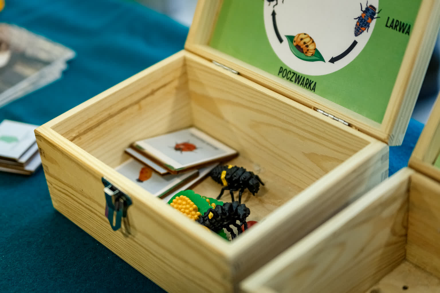 „Nasza moc, nasza planeta". Na UMCS świętowali Dzień Ziemi 4 Dzień-ziemi-Michalew-4.jpg