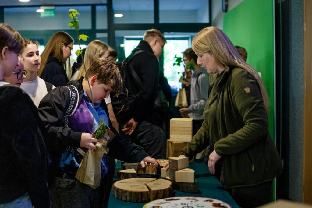 EAttachments947240958b841ca6f36844e0f34ef5781f52808 xl