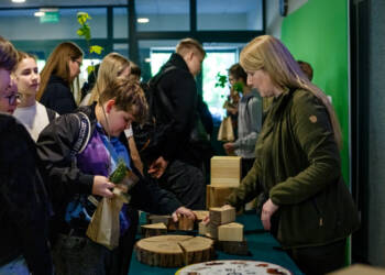 EAttachments947240958b841ca6f36844e0f34ef5781f52808 xl