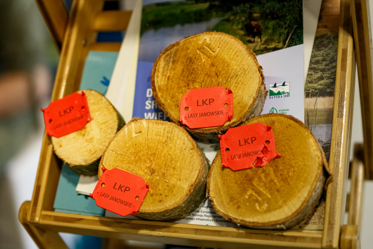 „Nasza moc, nasza planeta". Na UMCS świętowali Dzień Ziemi 2 Dzień-ziemi-Michalew-16.jpg