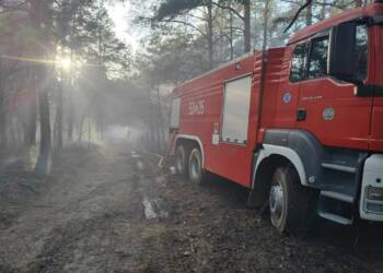 EAttachments9472622be096a325d2108806d0bcb797fb7c1f4 xl 1024x771 1