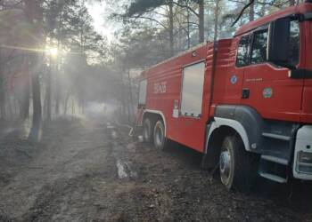 EAttachments9472622be096a325d2108806d0bcb797fb7c1f4 xl