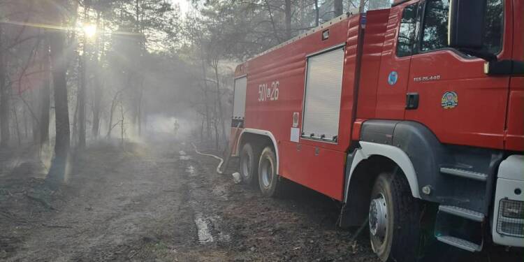 EAttachments9472622be096a325d2108806d0bcb797fb7c1f4 xl