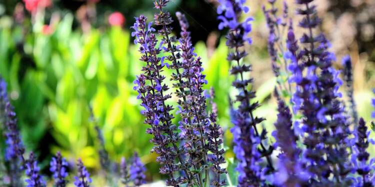 EAttachments9473636131a496436f9faceb3c72f18fc7b5f66 xl