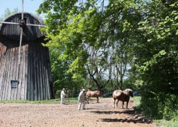 EAttachments9473646ddc7c191ce863bb8542a8c950899275e xl