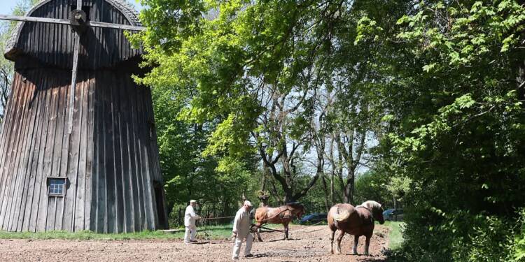 EAttachments9473646ddc7c191ce863bb8542a8c950899275e xl