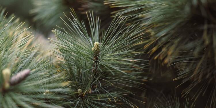 EAttachments94736640f1f1dd743be8e64e5a4e4c3bf31e3f3 xl