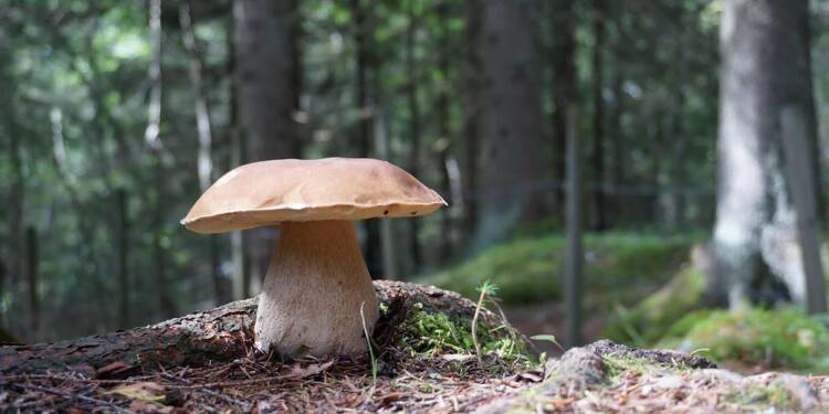 EAttachments947370549fd1402e55b043d589a891d17923848 xl