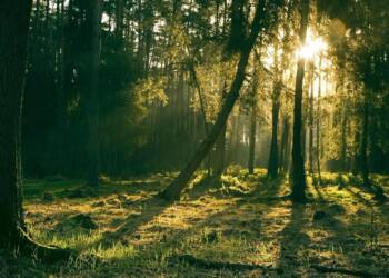 EAttachments94740530fa1c3f99ba4cae2a8e11e252c4b80c6 xl