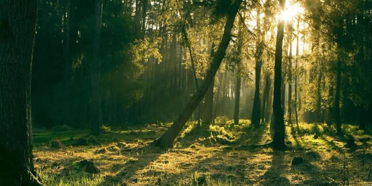 EAttachments94740530fa1c3f99ba4cae2a8e11e252c4b80c6 xl