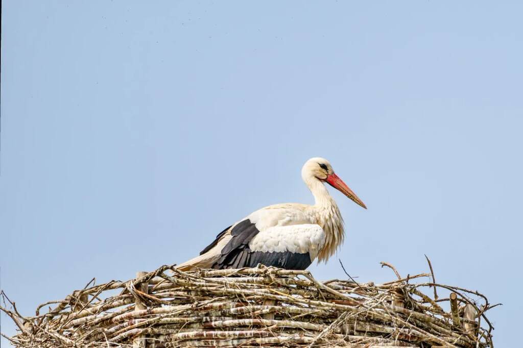 EAttachments9474086adfee5b8d5c61aeb4e150f112bf10cec xl