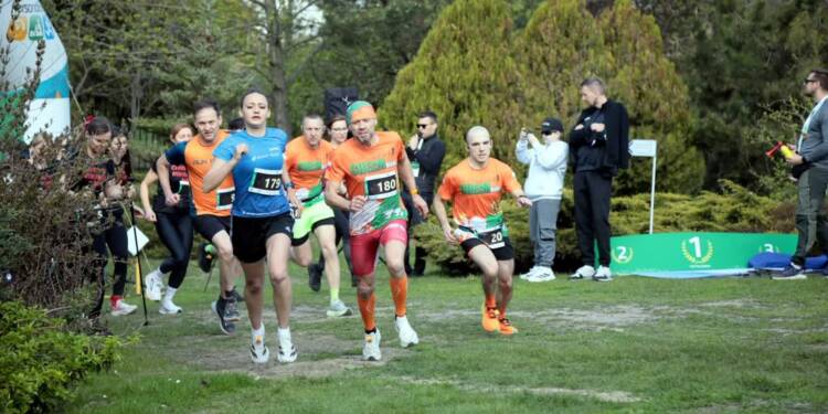 EAttachments94749572880cbc4558cd450084d85675b9185f8 xl