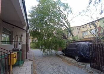 EAttachments94755119040254084ded3282db7a2777ab05884 xl