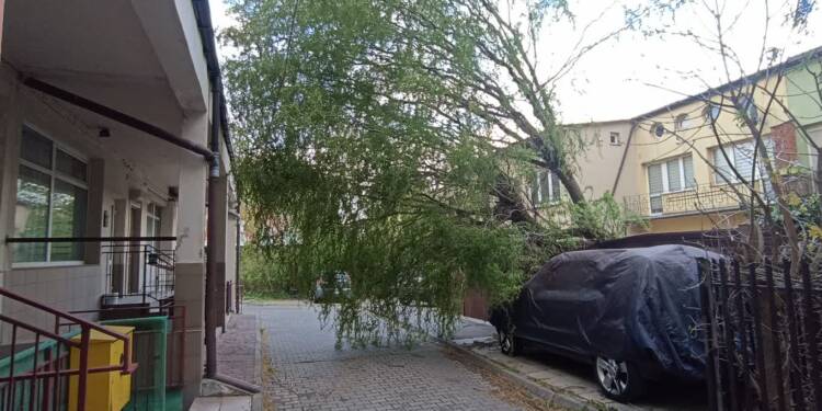 EAttachments94755119040254084ded3282db7a2777ab05884 xl