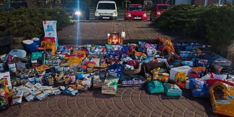 EAttachments9476051cbb2bce35a92028fe71bd50f617ce419 xl