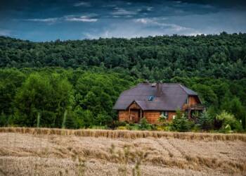 EAttachments947634692fa63c6d4fb020045e80b0bbd424452 xl