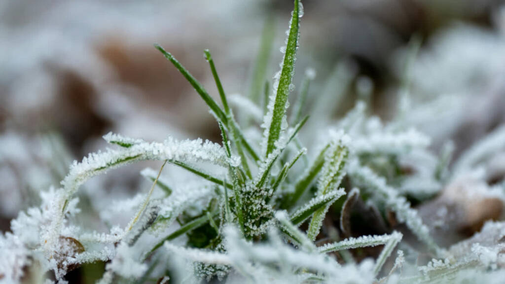 EAttachments94765493bc05f21f1074bbc4267762a8fd36317 xl